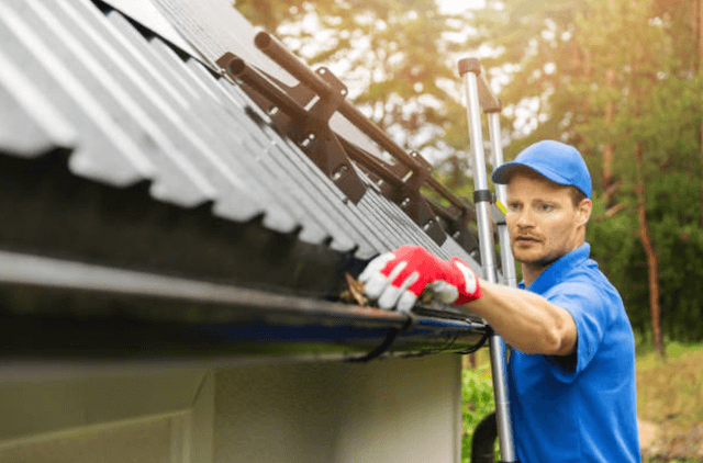 overland park gutter service